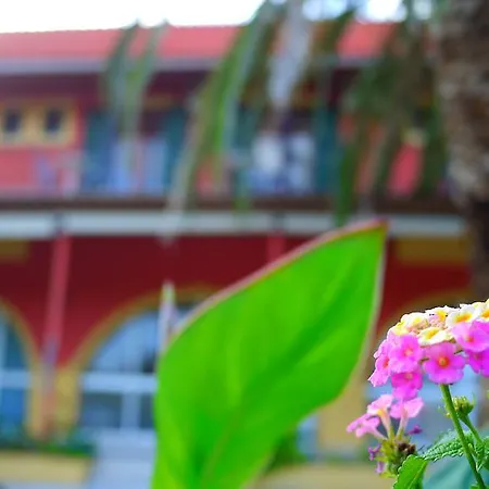 Appartamento Skyline Velonádes